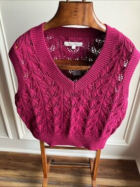 LOFT V-Neck Cable Knit Sweater Vest in Berry Pink